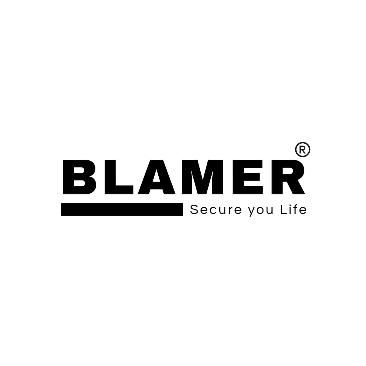 BLAMER